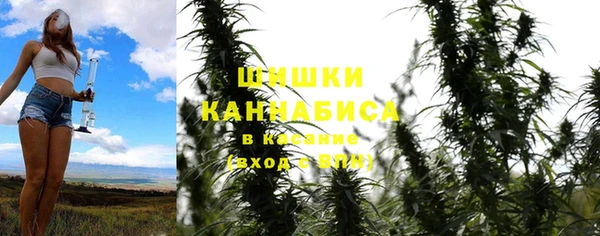 ALPHA PVP Алексин